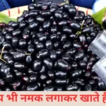 Best Time to Eat Jamun: Diabetes में रामबाण है जामुन, लेकिन एक दिन में कितने पीस खाना है सुरक्षित? नोट कर लें ये जरूरी गाइड