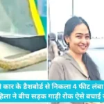 Ghaziabad Car Snake: चलती कार के डैशबोर्ड से निकला 4 फीट लंबा कोबरा, महिला ने बीच सड़क गाड़ी रोक ऐसे बचाई जान