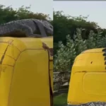 Rickshaw Crocodile Viral: ऑटो की छत पर बंधा दिखा मगरमच्छ, रोंगटे खड़े कर देने वाले वीडियो का सच क्या है?