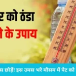 July Humidity Summer Health Tips: जुलाई की चिपचिपी गर्मी से बचने के लिए आजमाएं ये हेल्थ टिप्स, कभी नहीं होगी पानी की कमी
