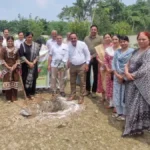 Kaithal Kaul College: ‘एक पौधा, एक उम्मीद’: कौल कॉलेज में 7 दिनों में रोपे गए 765 पौधे, NSS वॉलिंटियर्स ने लिया बड़ा संकल्प