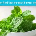 Monsoon Health Tips: बारिश के मौसम में क्यों जहर बन सकता है आपका पसंदीदा पुदीना? जानें इसके पीछे का विज्ञान