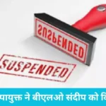 Narnaul BLO Suspended: चुनाव ड्यूटी में कामचोरी पड़ी भारी, नारनौल उपायुक्त ने बीएलओ संदीप को किया सस्पेंड