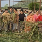 Narnaul News: नारनौल की खालड़ा गौशाला में उठी भक्ति की तरंग, हरी चरी की 3 सवामणियों के साथ बांटी गईं दवाइयां