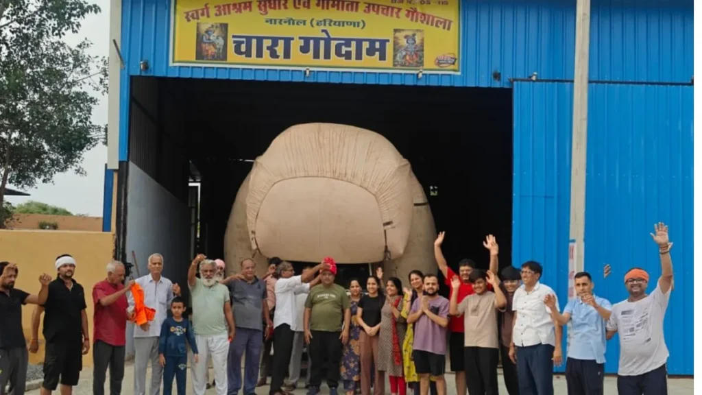Narnaul News: श्री उपचार गौशाला में समाजसेवी ने दान किया 42 क्विंटल तूड़ा, लगाई सवामणी