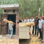 Pratap Nagar Wildlife Action: इंस्पेक्टर लीलू राम का पदभार संभालते ही तस्करों पर एक्शन, बाथरूम से खैर की कीमती लकड़ी बरामद