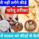 Rice Storage Tips: बरसात में चावल को घुन और कीड़ों से बचाएंगे ये 3 आसान घरेलू नुस्खे