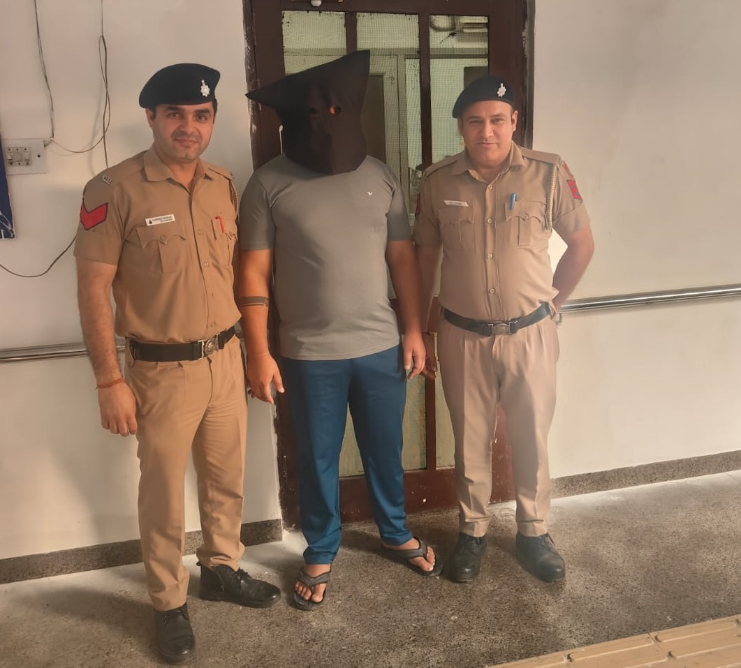 Top Independent Contractors to Invest in Best of Startups