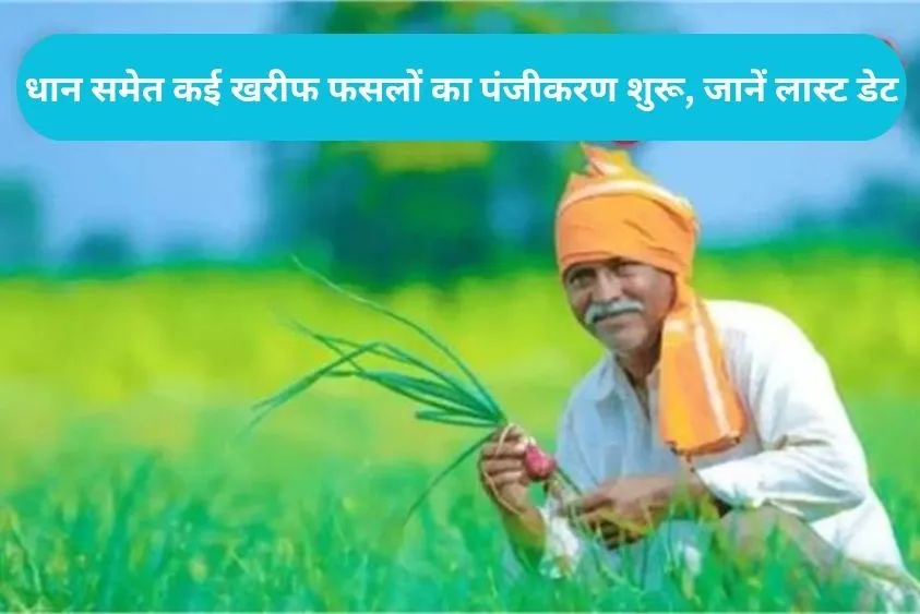 Haryana Farmer: मेरी फसल मेरा ब्योरा पोर्टल पर खरीफ फसलों का पंजीकरण शुरू, 15 जून तक आखिरी मौका