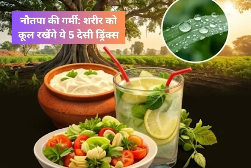  लू और डिहाइड्रेशन को कहें बाय-बाय, नौतपा की भयंकर गर्मी में शरीर को कूल रखेंगे ये 5 देसी ड्रिंक्स