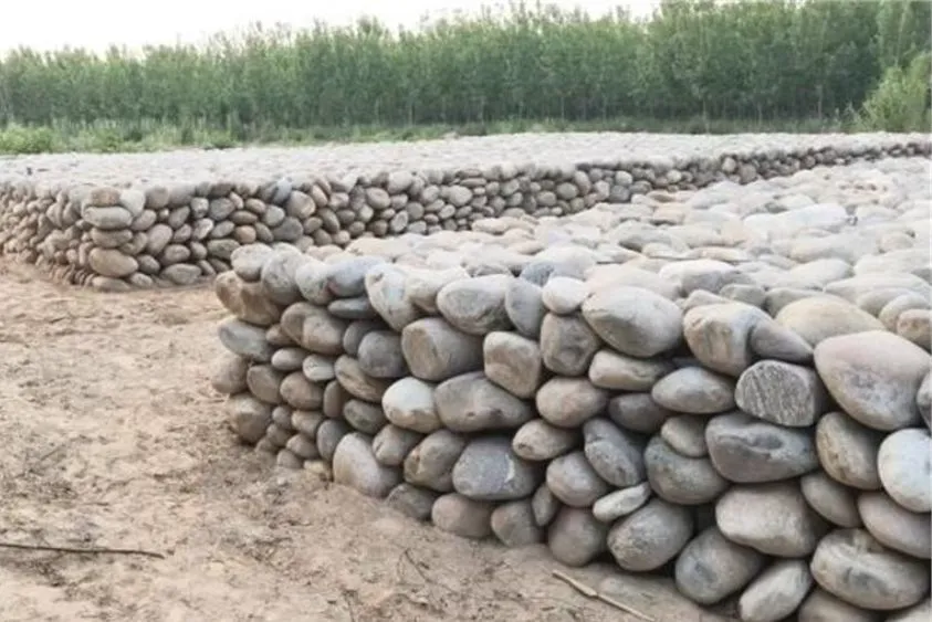 बाढ़ का खतरा होगा कम! यमुनानगर में नदियों के सुरक्षा चक्र पर खर्च हो रहे 40 करोड़ रुपये
