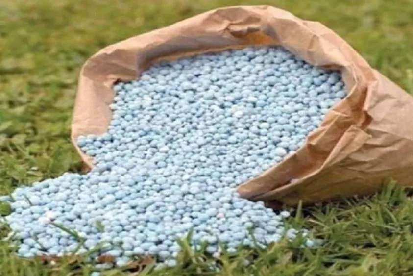  खाद संकट पर सरकार का बड़ा कदम: 25 लाख टन यूरिया के लिए ग्लोबल टेंडर जारी