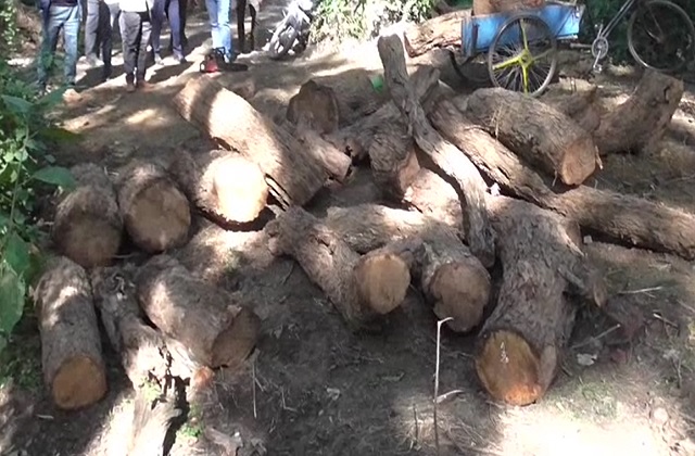 पंजाब में खैर तस्करी: रोपड़ पुलिस ने छापा मारकर लकड़ी​ भरी गाड़ी पकड़ी, 5 नामजद सहित 6 पर केस दर्ज