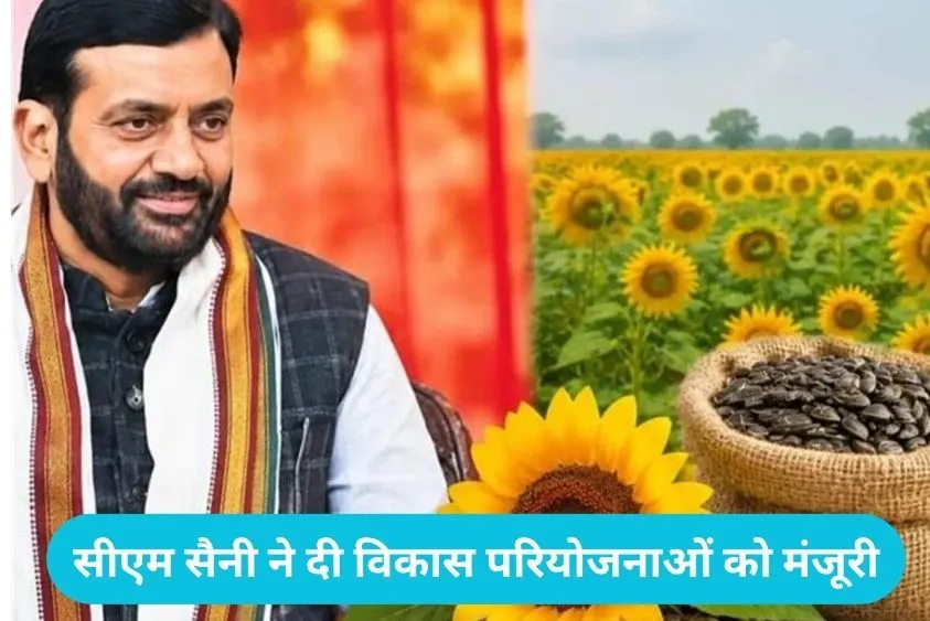  Haryana Farmers: हरियाणा के सूरजमुखी किसानों के लिए बड़ी खबर: सीएम नायब सैनी ने 60 दिनों के लिए दोबारा खुलवाया पोर्टल