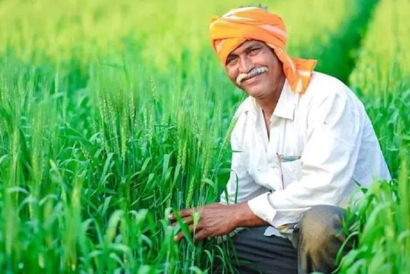 खेती को बिजनेस बनाने का हरियाणा मॉडल: गुजरात और महाराष्ट्र की तकनीक से बदलेगी किसानों की तकदीर