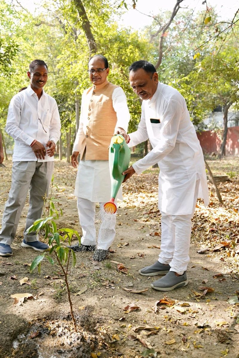 पर्यावरण को बचाने के लिए पेड़ लगाने को एक बड़ा आंदोलन बनाने की जरूरत: चौहान