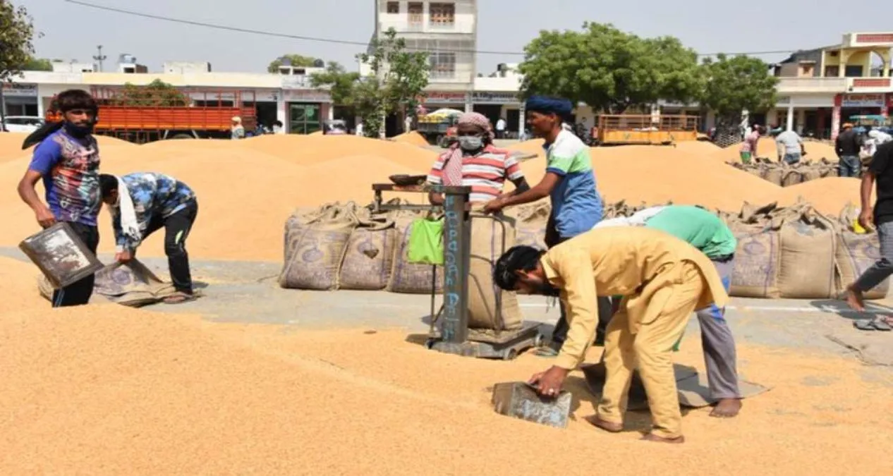  हरियाणा की मंडियों में नई व्यवस्था, अब इलेक्ट्रॉनिक कांटों से होगी फसल की तौल