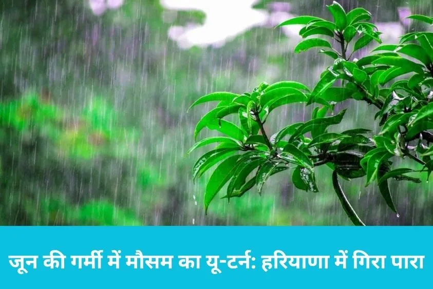  महेंद्रगढ़, रेवाड़ी और सिरसा में आज टूट कर बरसेगा पानी, मौसम विभाग की नई चेतावनी जारी