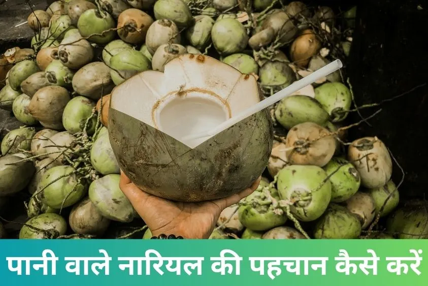  नारियल पानी का धोखा! अगली बार खरीदने से पहले अपनाएं ये 4 देसी ट्रिक्स, हमेशा निकलेगा लबालब भरा