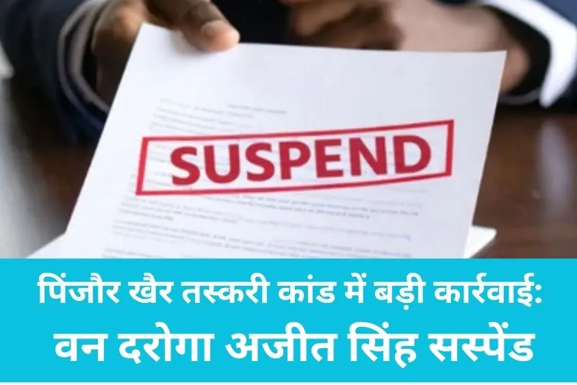 पिंजौर खैर तस्करी कांड में बड़ी कार्रवाई: वन दरोगा अजीत सिंह सस्पेंड, 'माई सिटी' की खबर पर लगी मुहर