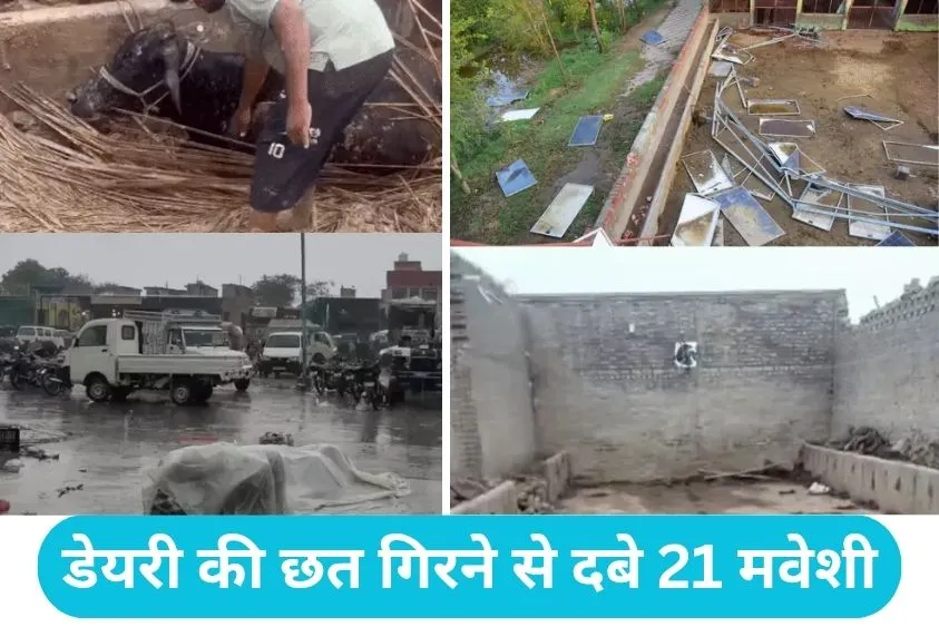Haryana Weather Update: हरियाणा के 10 जिलों में आंधी के साथ झमाझम बारिश, गर्मी से राहत लेकिन फतेहाबा...