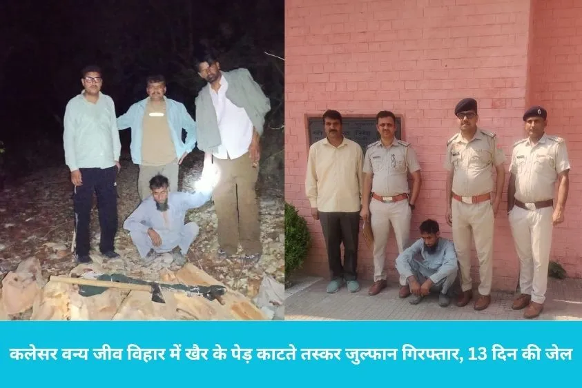  कलेसर वन्य जीव विहार में बड़ी कार्रवाई: खैर के पेड़ काटते तस्कर जुल्फान गिरफ्तार, 13 दिन की जेल