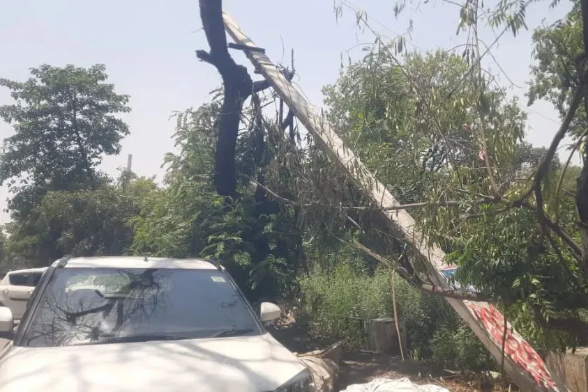  यमुनानगर में आंधी का तांडव: 400 बिजली के खंभे टूटे, डीसी आवास पर गिरा पेड़, आधे जिले में ब्लैकआउट