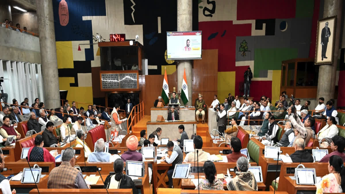 Top Independent Contractors to Invest in Best of Startups