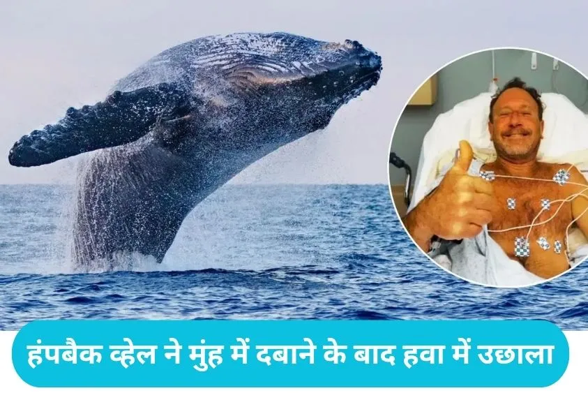 Ajab Gajab News: जब व्हेल मछली जिंदा निगल गई मछुआरा, 40 सेकंड मौत के मुंह में बिताकर ऐसे बची जान