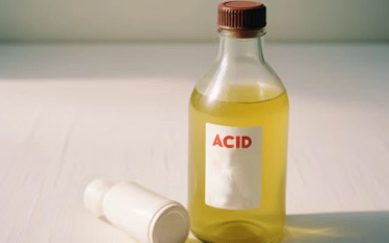 Top Independent Contractors to Invest in Best of Startups