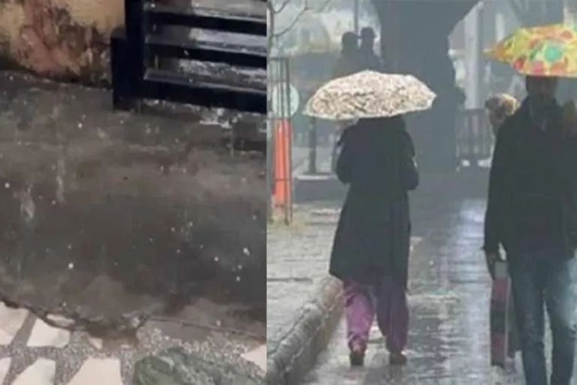 Top Independent Contractors to Invest in Best of Startups