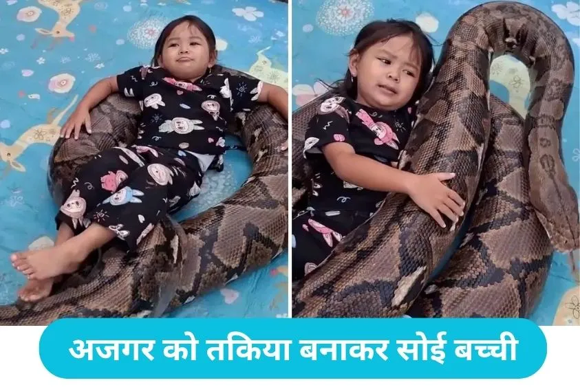 Child Playing With Python : विशालकाय अजगर पर मजे से लेटी दिखी बच्ची, देखकर भड़के लोग