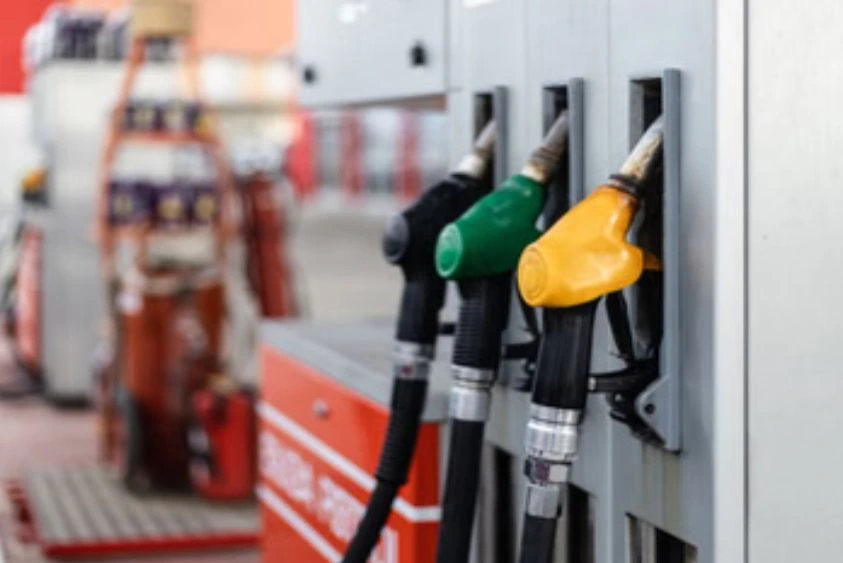 Top Independent Contractors to Invest in Best of Startups