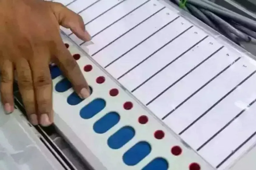 झज्जर के बादसा में अनोखा चुनाव: सरपंच की एक कुर्सी और तीन सगे भाई, कौन मारेगा बाजी