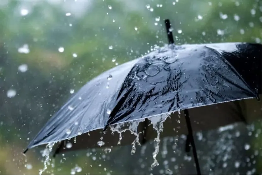  किसान सावधान! 21 मार्च तक हरियाणा में भारी बारिश और ओलावृष्टि की चेतावनी