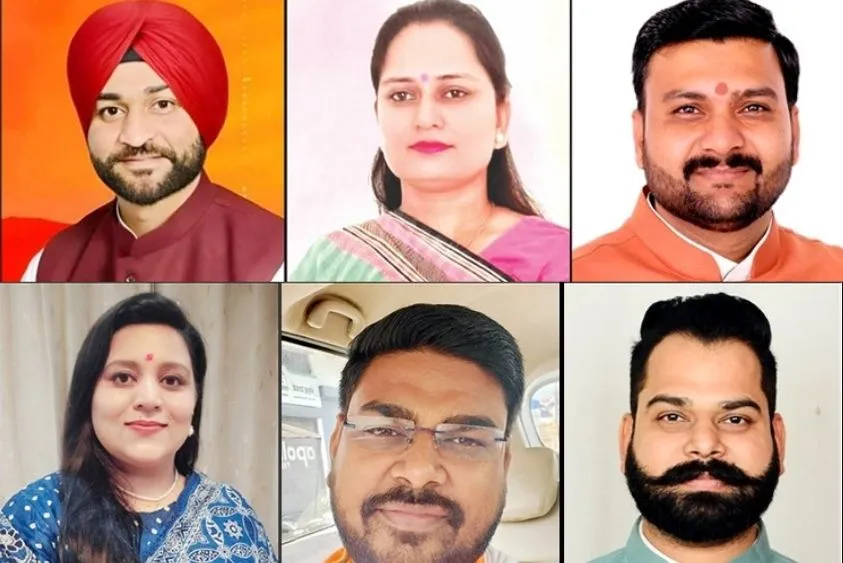 Top Independent Contractors to Invest in Best of Startups