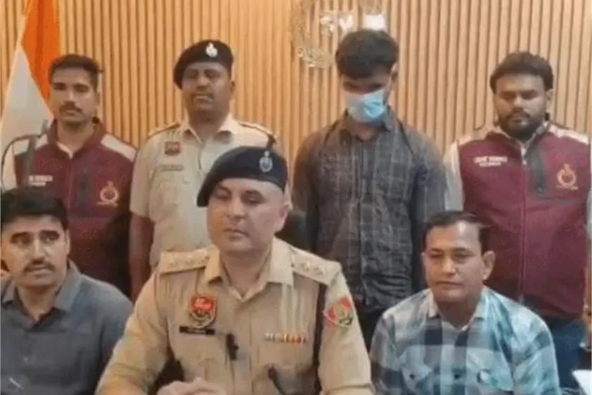 Top Independent Contractors to Invest in Best of Startups