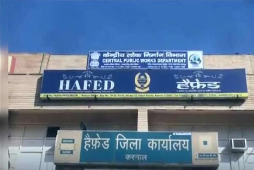  करनाल हैफेड में अजीब खेल: जेल काटकर आए मैनेजर को मिले 10 खरीद केंद्र, उठ रहे गंभीर सवाल