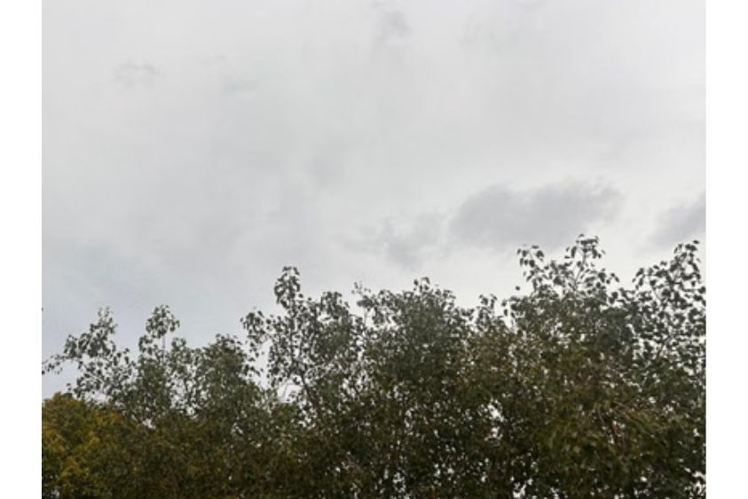  Rajasthan Weather: प्री-मानसून ने बदला राजस्थान का मौसम, आज 25 जिलों में आंधी-बारिश का अलर्ट, 8 जून से फिर बढ़ेगी गर्मी