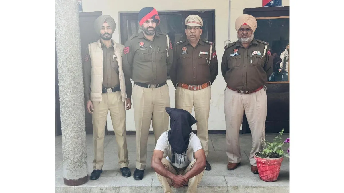 Top Independent Contractors to Invest in Best of Startups