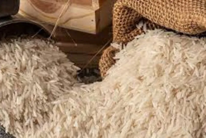  बासमती निर्यात पर ₹70 लेवी हटाने की मांग तेज, हरियाणा के एक्सपोर्टर्स बोले—बढ़ रहा संकट