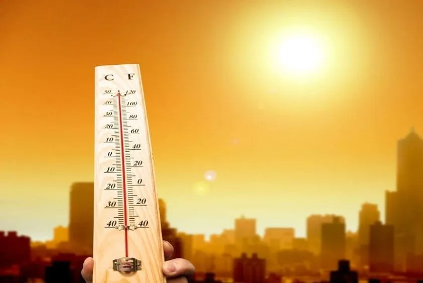  Haryana Weather Update: हरियाणा में सूरज ने उगली आग, सिरसा में पारा 44 डिग्री पार, 8 जिलों में लू का अलर्ट