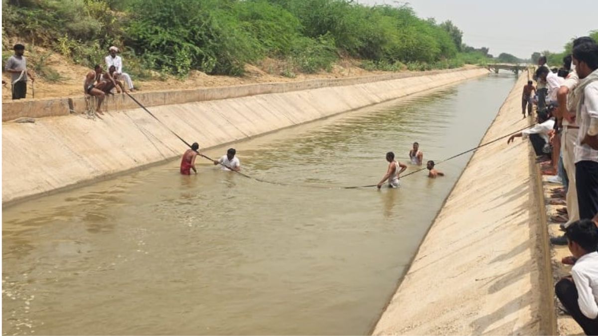 Bikaner News: बीकानेर में भेड़ बचाने नहर में कूदे दो भाई, एक की मौत, ग्रामीणों और गोताखोरों ने चलाया रेस्क्यू ऑपरेशन