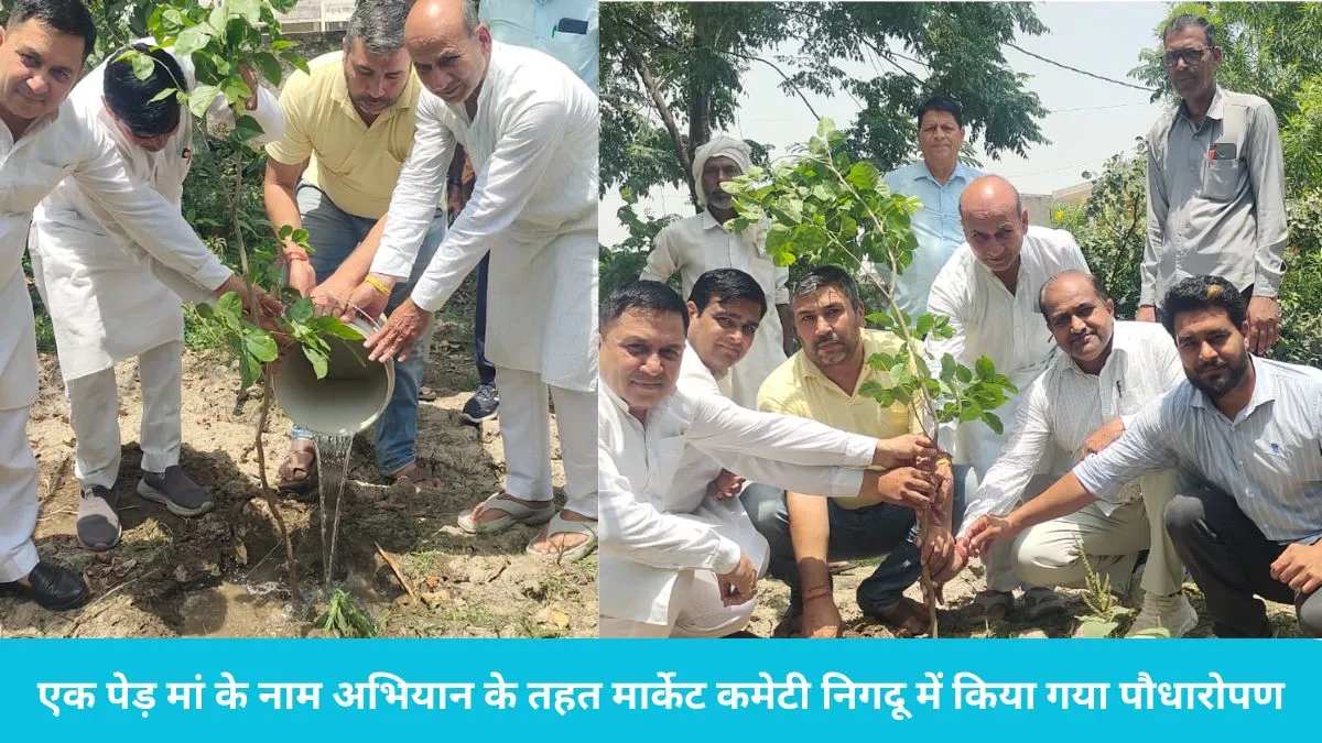 Nilokheri News: निर्जला एकादशी पर निगदू में अनोखी पहल, अपनी मां के नाम पर नेताओं और ग्रामीणों ने रोपे पौधे