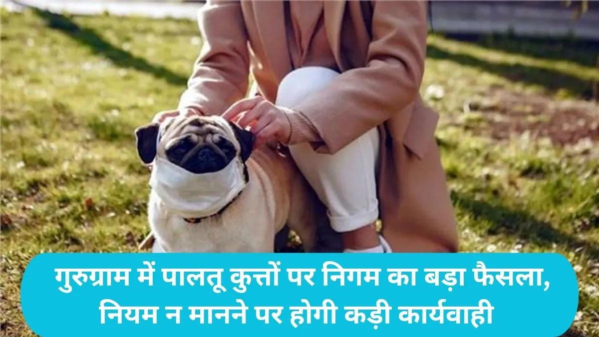 Gurugram Dog Rules: गुरुग्राम में पालतू कुत्तों पर निगम का बड़ा फैसला, नियम न मानने पर होगी कड़ी कार्यवाही