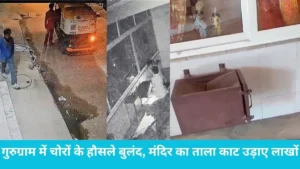 Gurugram Temple Theft: गुरुग्राम में बेखौफ चोर, सेक्टर-46 के हनुमान मंदिर से लाखों का दानपात्र साफ, कटर से काटा ताला