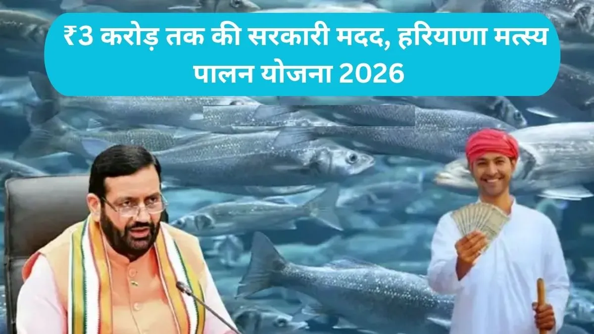 Haryana Government scheme: ₹3 करोड़ तक की सरकारी मदद, हरियाणा मत्स्य पालन योजना 2026 के नियम और जरूरी दस्तावेज की पूरी सूची
