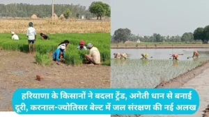 Haryana Paddy Transplantation: हरियाणा के किसानों ने बदला ट्रेंड, अगेती धान से बनाई दूरी, करनाल-ज्योतिसर बेल्ट में जल संरक्षण की नई अलख
