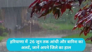 Haryana Weather Update: हरियाणा में 26 जून तक आंधी और बारिश का अलर्ट, जानें अपने जिले का हाल