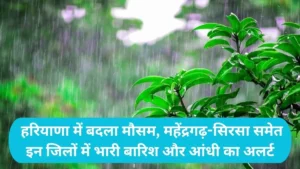 Haryana Weather Update: हरियाणा में बदला मौसम, महेंद्रगढ़-सिरसा समेत इन जिलों में भारी बारिश और आंधी का अलर्ट